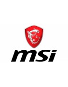 Msi